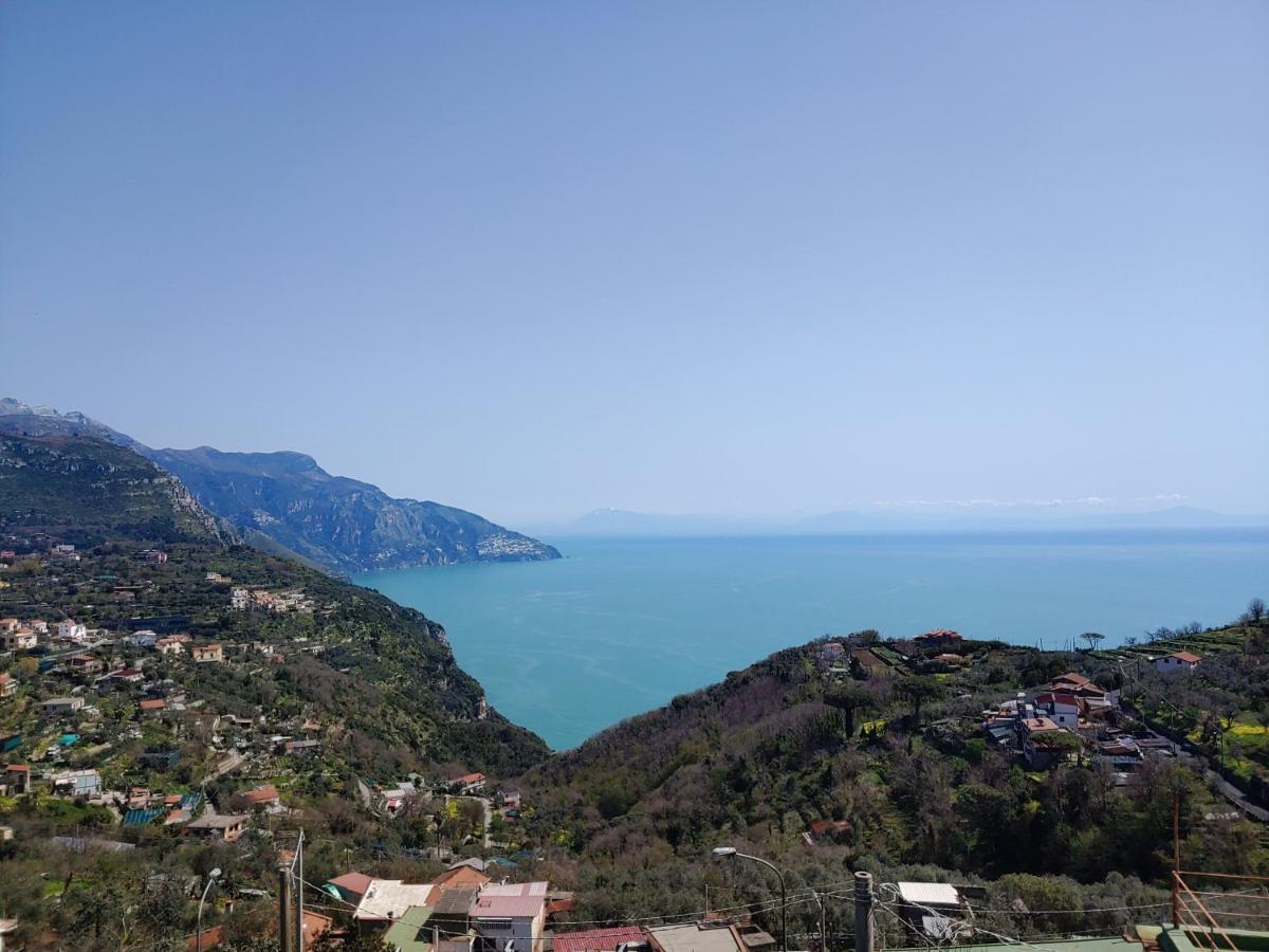 Amalfi Coast, Positano, Sorrento, Capri, Garden, Villa Carcara Colli di Fontanelle Exterior foto