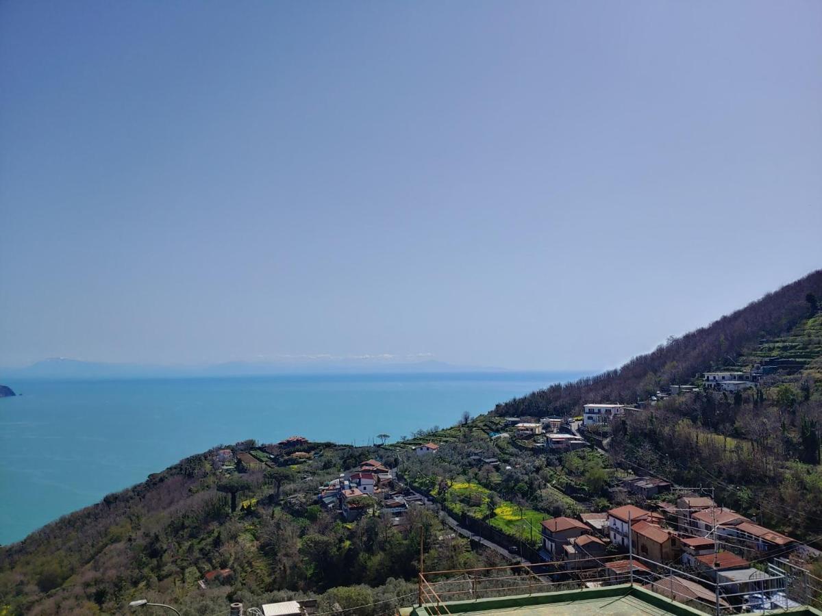 Amalfi Coast, Positano, Sorrento, Capri, Garden, Villa Carcara Colli di Fontanelle Exterior foto