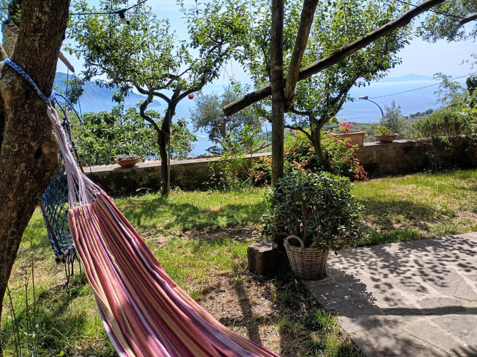 Amalfi Coast, Positano, Sorrento, Capri, Garden, Villa Carcara Colli di Fontanelle Exterior foto